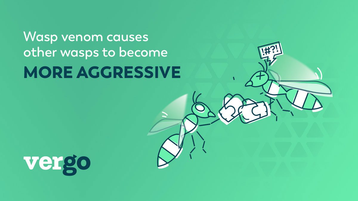 Wasp fun facts