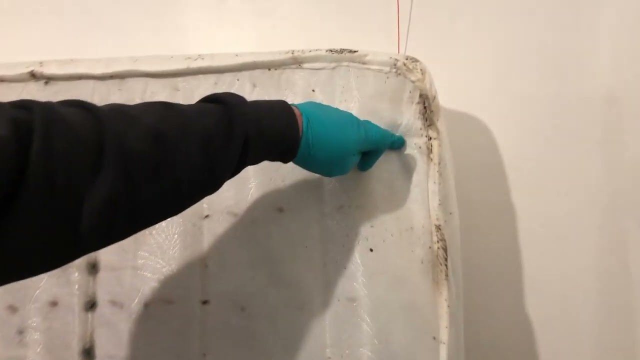 Pointing at signs of bed bugs on mattress