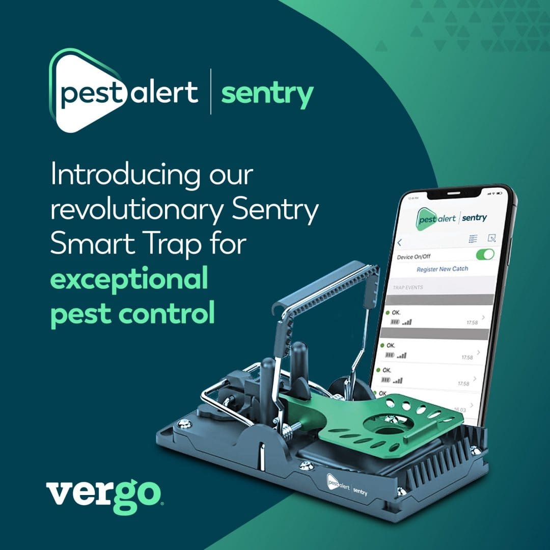 Pest Alert Sentry Vergo Pest Management