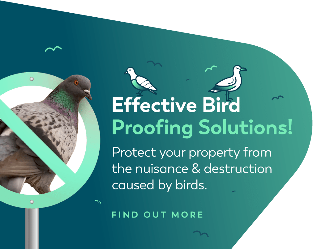 Bird Proofing Call to Action