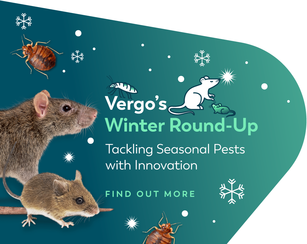 Winter pests CTA