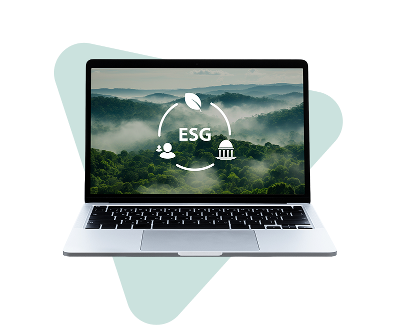 ESG triangle graphic